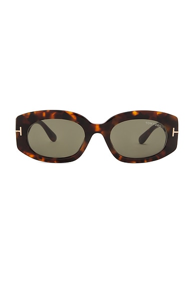 TOM FORD Cielle Sunglasses in Shiny Dark Havana & Green