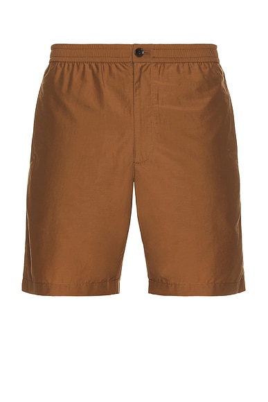Straight Cut Shorts