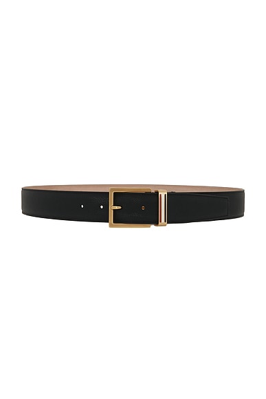 Metal Loop Belt
