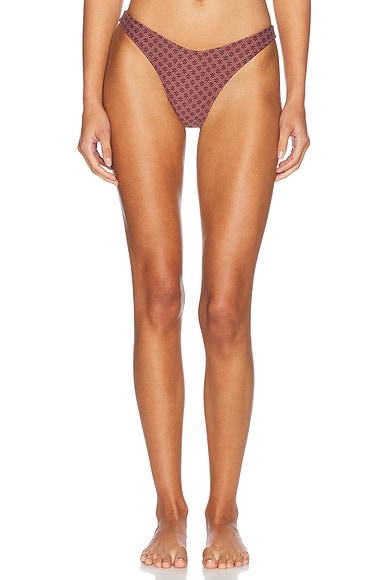 Tropic of C Ursula Bikini Bottom in Daisy Driftwood