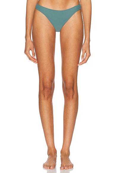 Curve Bikini Bottom