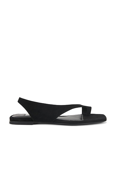 Toteme Suede Thong Sandal in Black