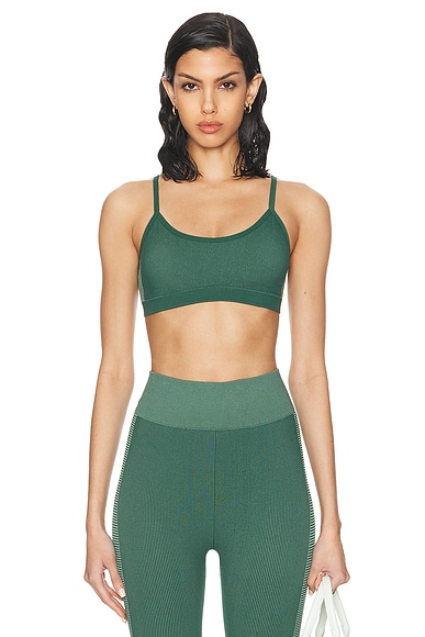 THE UPSIDE Ribbed Seamless Ballet Bra in Pine & Matcha