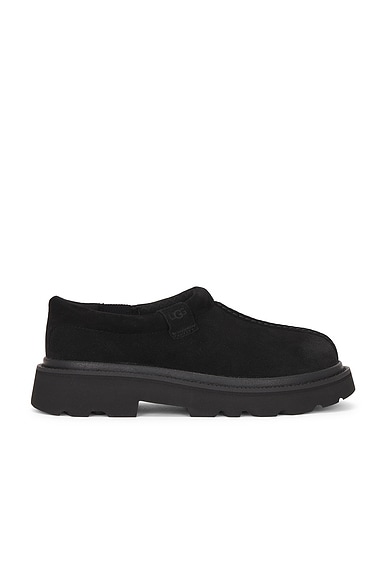 M Tasman Lug