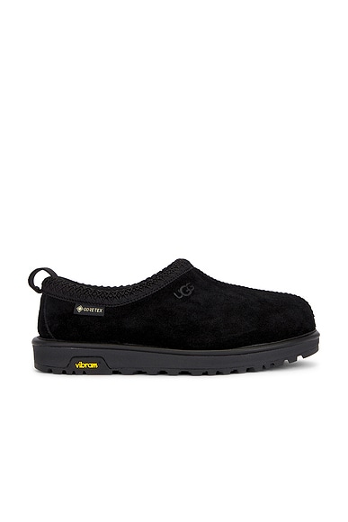 M Tasman Gtx