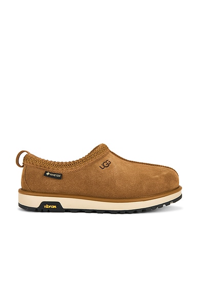 UGG M Tasman Gtx in Chestnut
