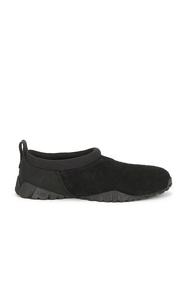 Tasman Flex