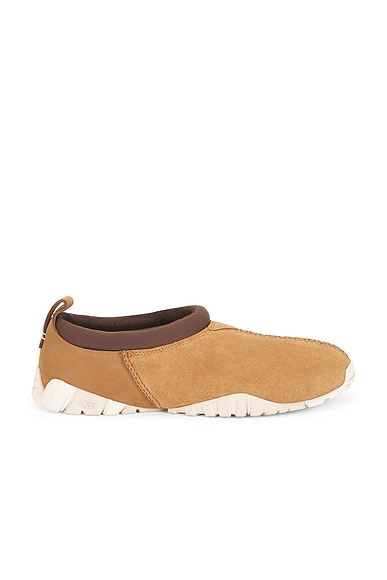Tasman Flex