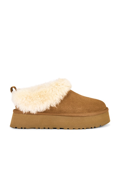 Tazzelle Slipper