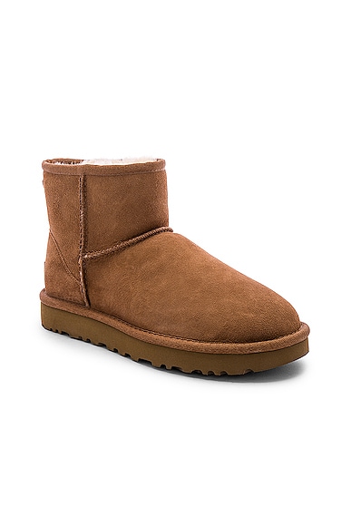 Ugg Classic Mini Ii Boot In Chestnut