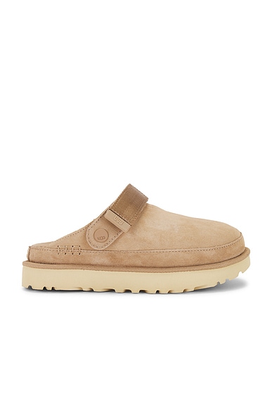 Goldenstar Clog