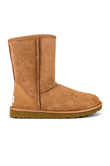 UGG M Classic Short in Brown