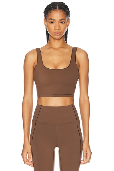 Shape Dayton Sports Bra