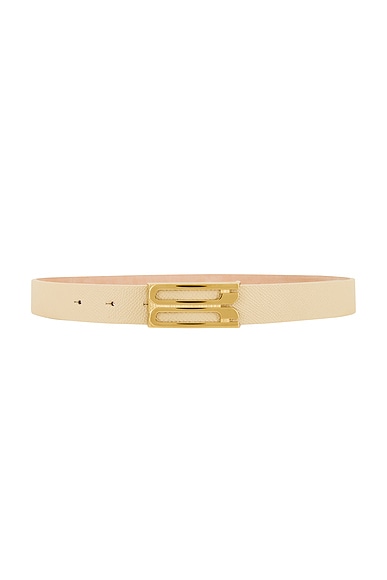 Regular Frame Belt
