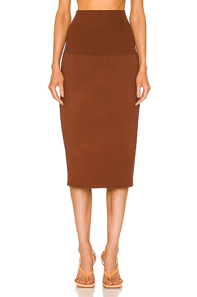 Victoria Beckham Fitted Skirt in Brown