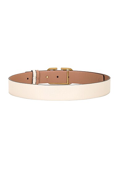 Shop Valentino 30 Reversible V Logo Belt In Light Ivory & Rose Cannelle