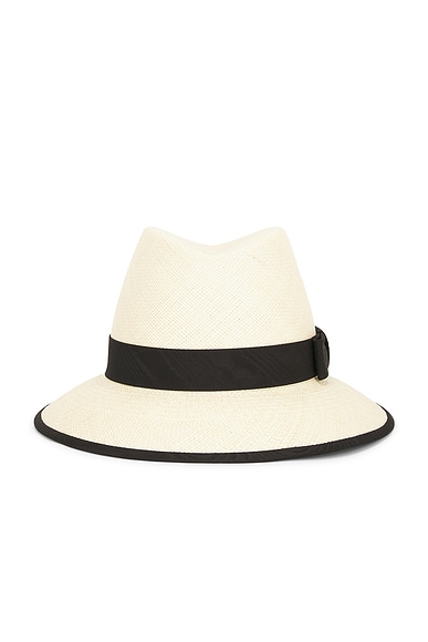 V Logo Signature Fedora