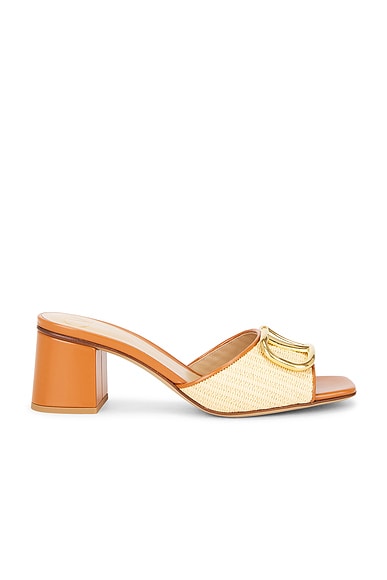 VLogo Signature Mule