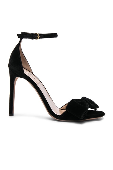 Valentino top velvet shoes