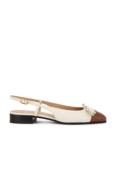 Valentino Garavani Valet Du Roi Ballerina Flat in Butter White & Tobacco