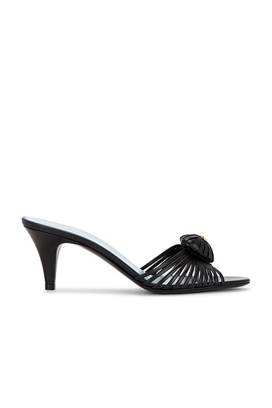 Royal Slide Sandal