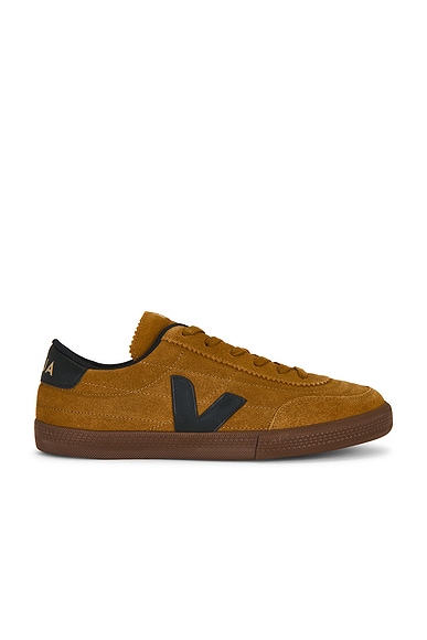 Veja Panenka in Tent, Black & Bark