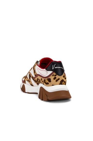 VERSACE VERSACE SNEAKER IN ANIMAL PRINT,WHITE,RED,VSAC-MZ35