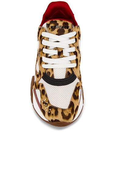 VERSACE VERSACE SNEAKER IN ANIMAL PRINT,WHITE,RED,VSAC-MZ35