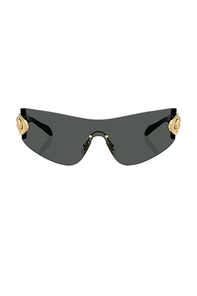 Shield Sunglasses