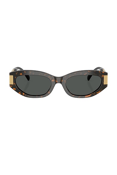 VERSACE Oval Sunglasses in Havana