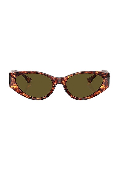 VERSACE Oval Sunglasses in Red Havana & Dark Brown