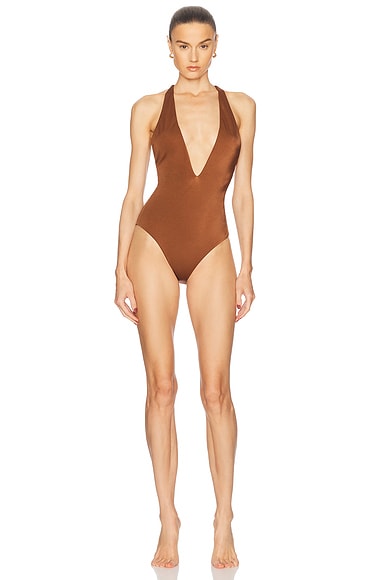One Piece Swimsuit in Tobacco