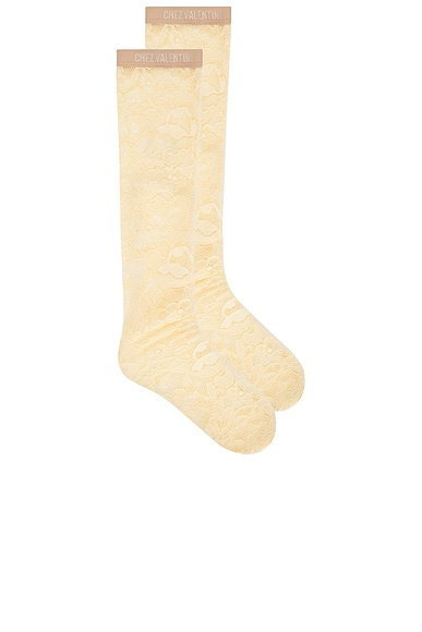 Valentino Rebrode Lace Sock in Avorio