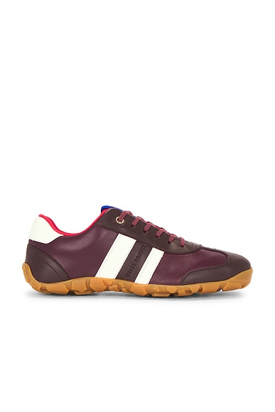 Lace Up Sneaker in Burgundy