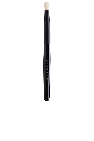 Spot Check Brush