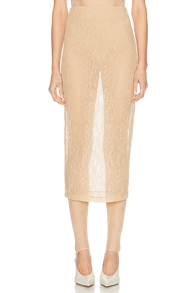 Lace Tube Skirt