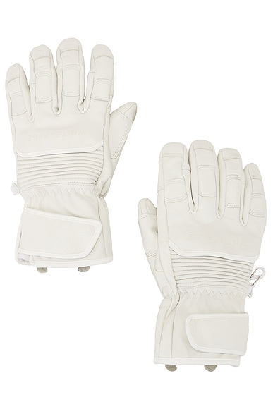 Whitespace Leather Riding Gloves in Warm White