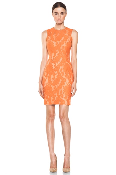 Yigal Azrouel Paisley Lace Dress in Nectar | FWRD