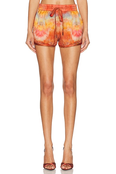 Alchemy Relaxed Short