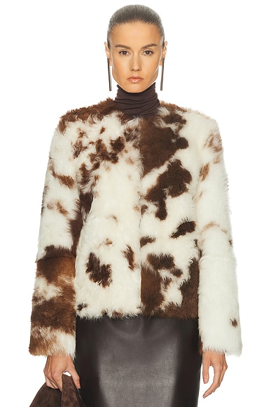 Zimmermann Hypnotic Spot Shearling Jacket in Cream