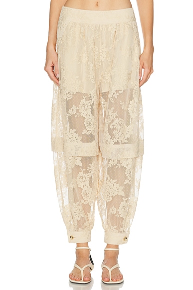 Luna Lace Harem Pant