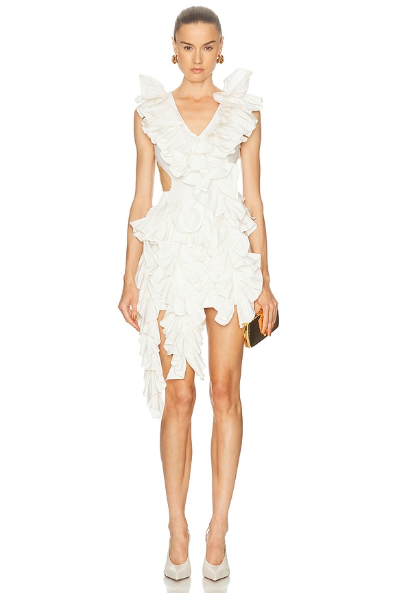 neveah mini dress Niveah Mini Dress