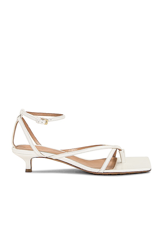 BOTTEGA VENETA ボッテガヴェネタ パンプス PUNTA プンタ 716210
