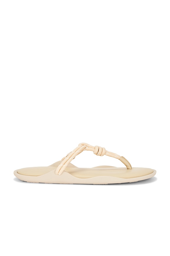Harry33ミュウ Maison MIHARA YASUHIRO ONLINE STORE（ミハラヤスヒロ