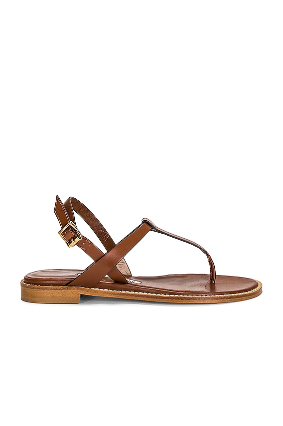 シューズ・サンダルその他 A.EMERY Woman Flat sandals Brown 242261 DEEPTAN A.EMERY Finch Sandal in Deep Tan | FWRD
