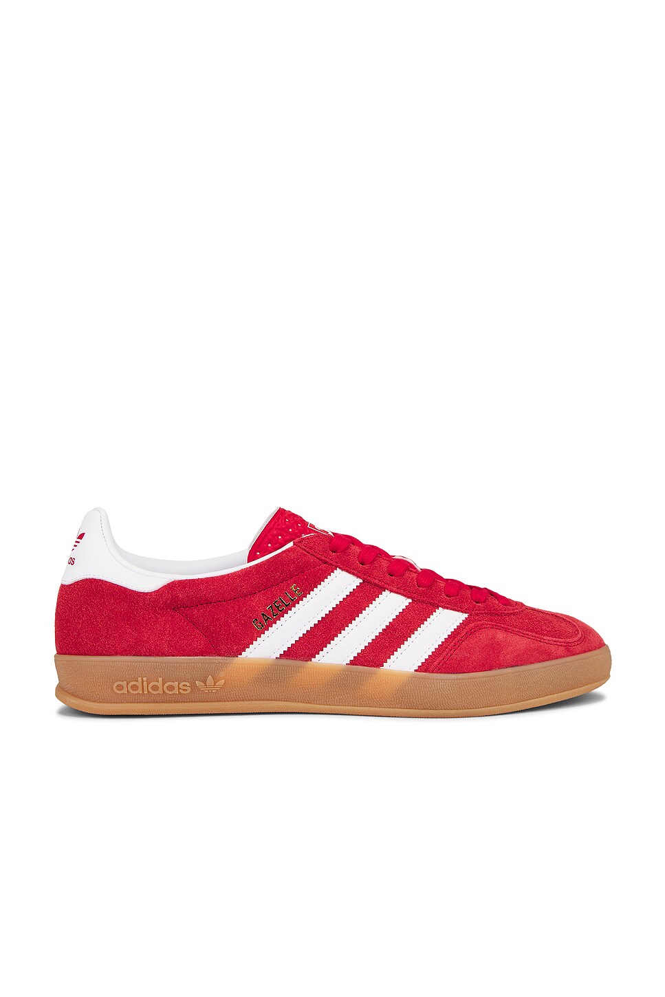 Gazelle Indoor