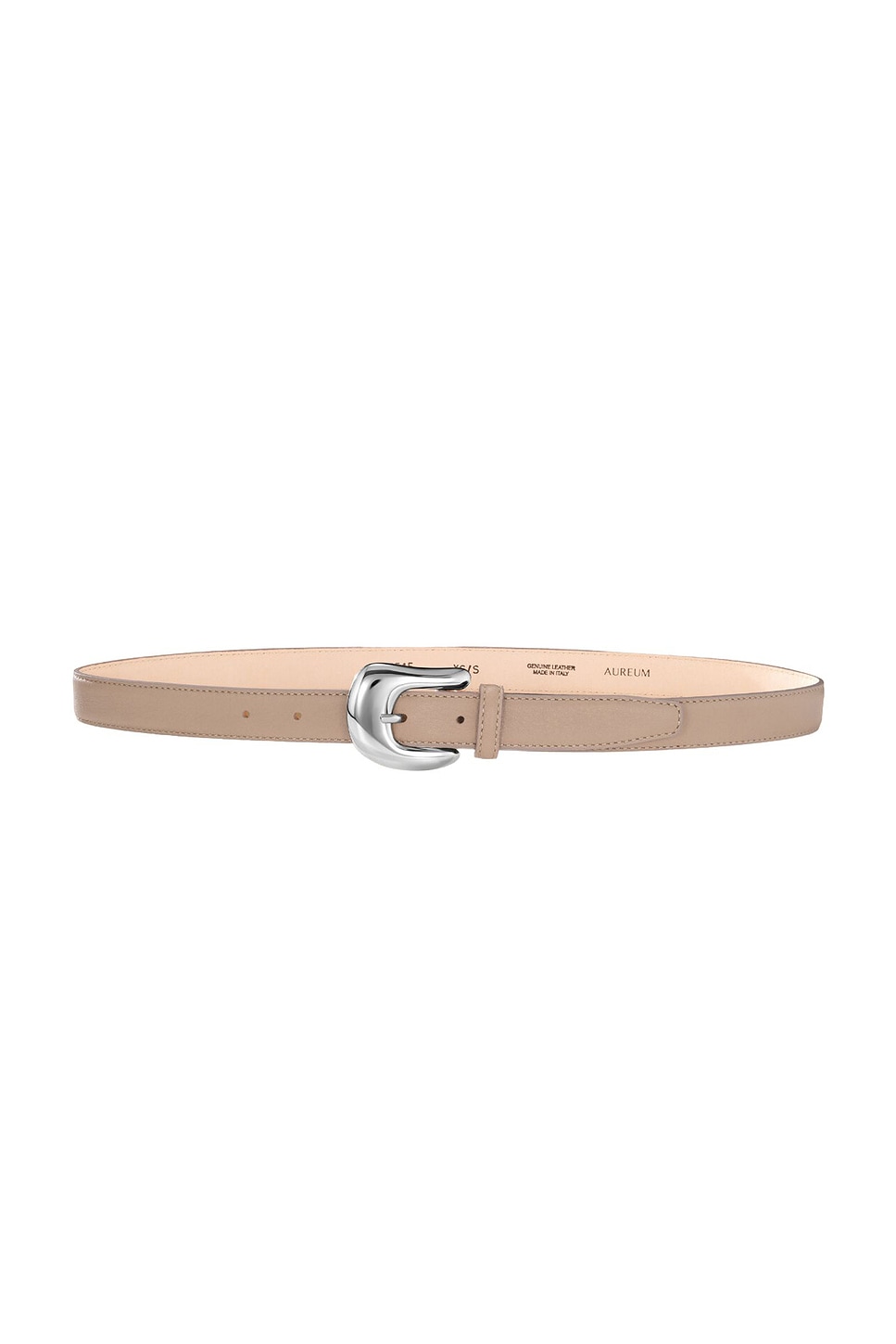 Statement Buckle Belt in Tan