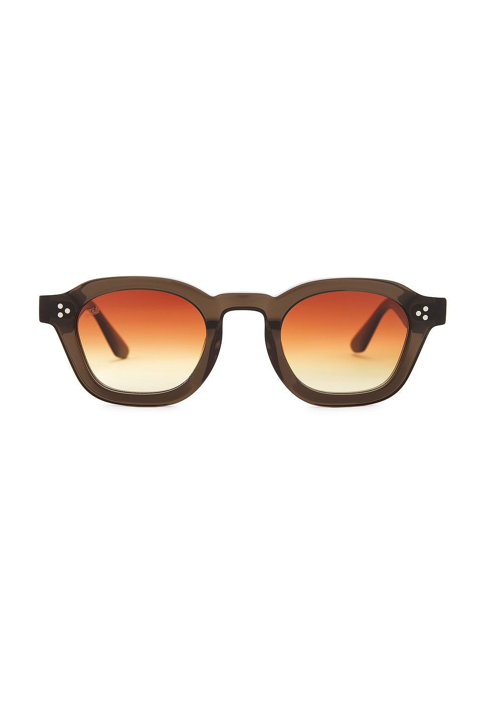 Logos Sunglasses in Brown