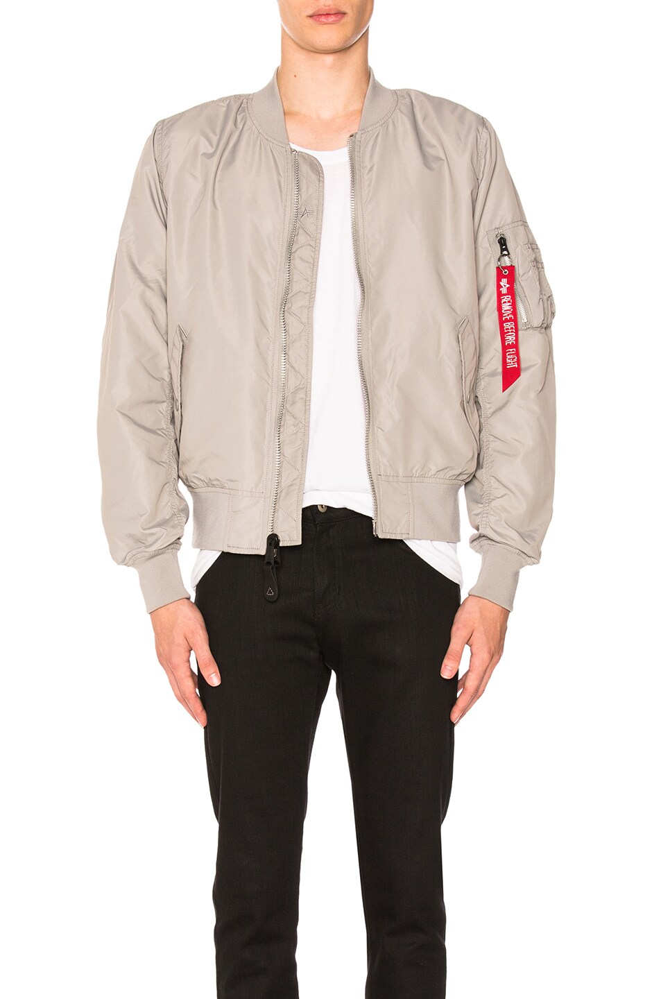 Image 1 of ALPHA INDUSTRIES L 2B Dragonfly Bloodchit in Silver