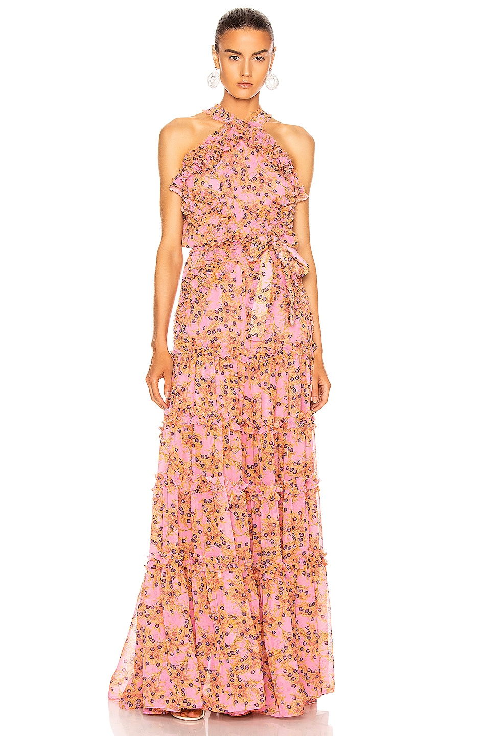 Image 1 of Alexis Genevra Dress in Rose Floral